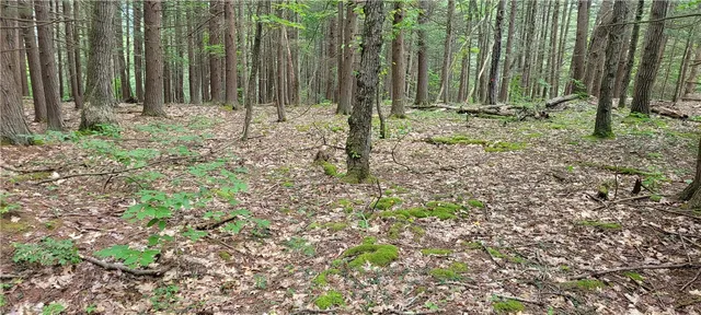 $139,500 | Hagerman, Chemung, NY 14892