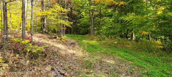 $139,500 | Hagerman, Chemung, NY 14892