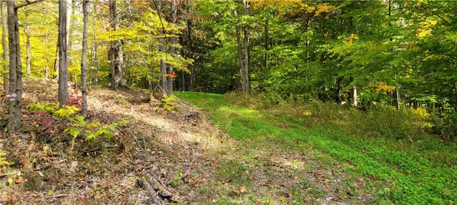 $139,500 | Hagerman, Chemung, NY 14892