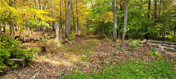 $139,500 | Hagerman, Chemung, NY 14892