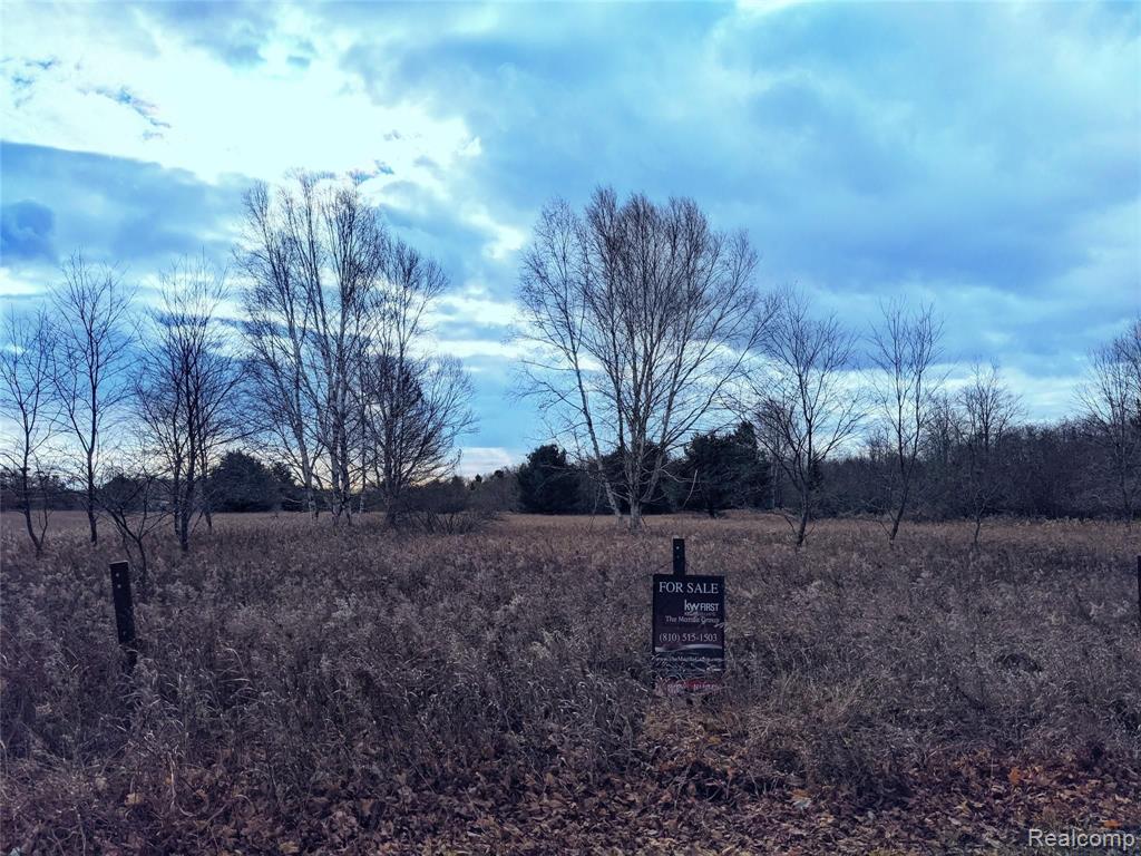 4688 Yuill Road Harrisville, MI 48740 - Photo 3 of 6