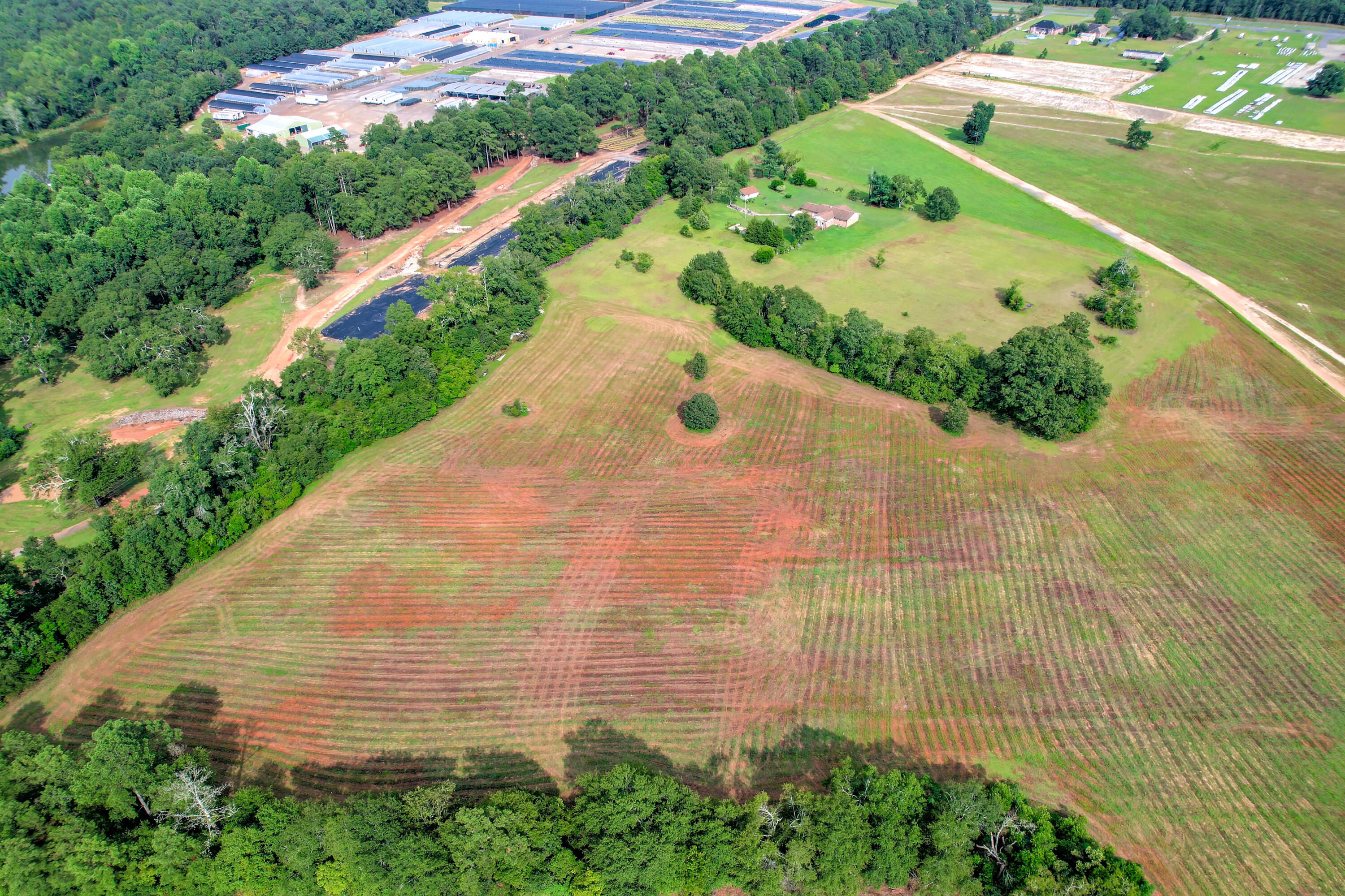 0 Flower Road Trenton, SC 29847 - Photo 3 of 24 54-116