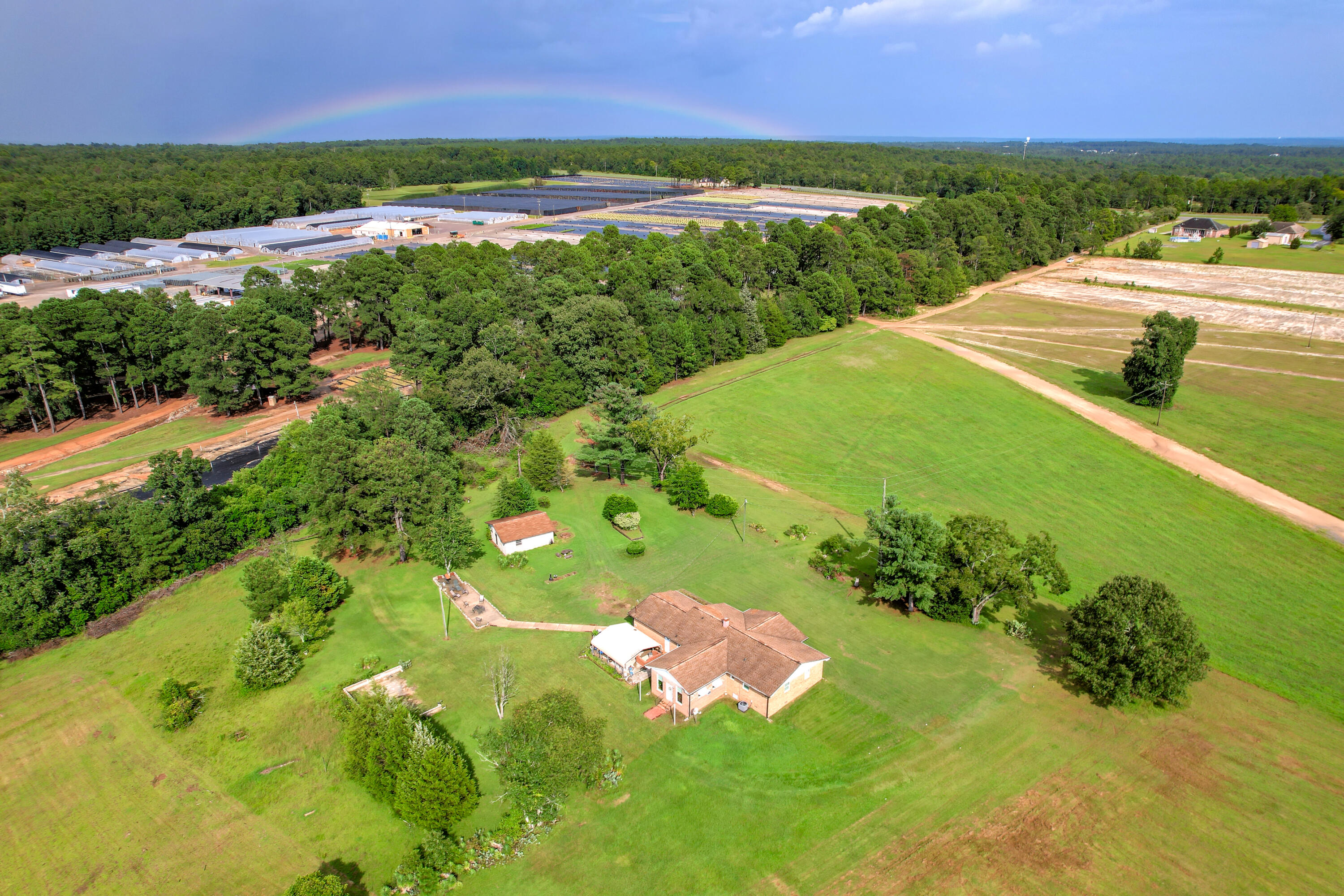 0 Flower Road Trenton, SC 29847 - Photo 4 of 24 51-113
