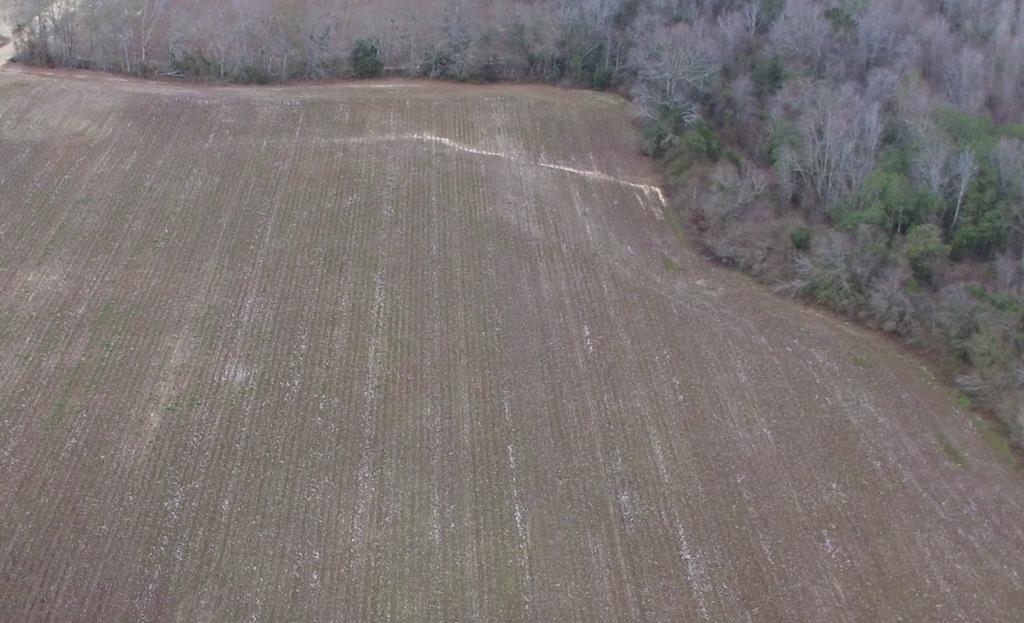 Lot 5 J B Jackson Road Webb, AL 36376 - Photo 1 of 1