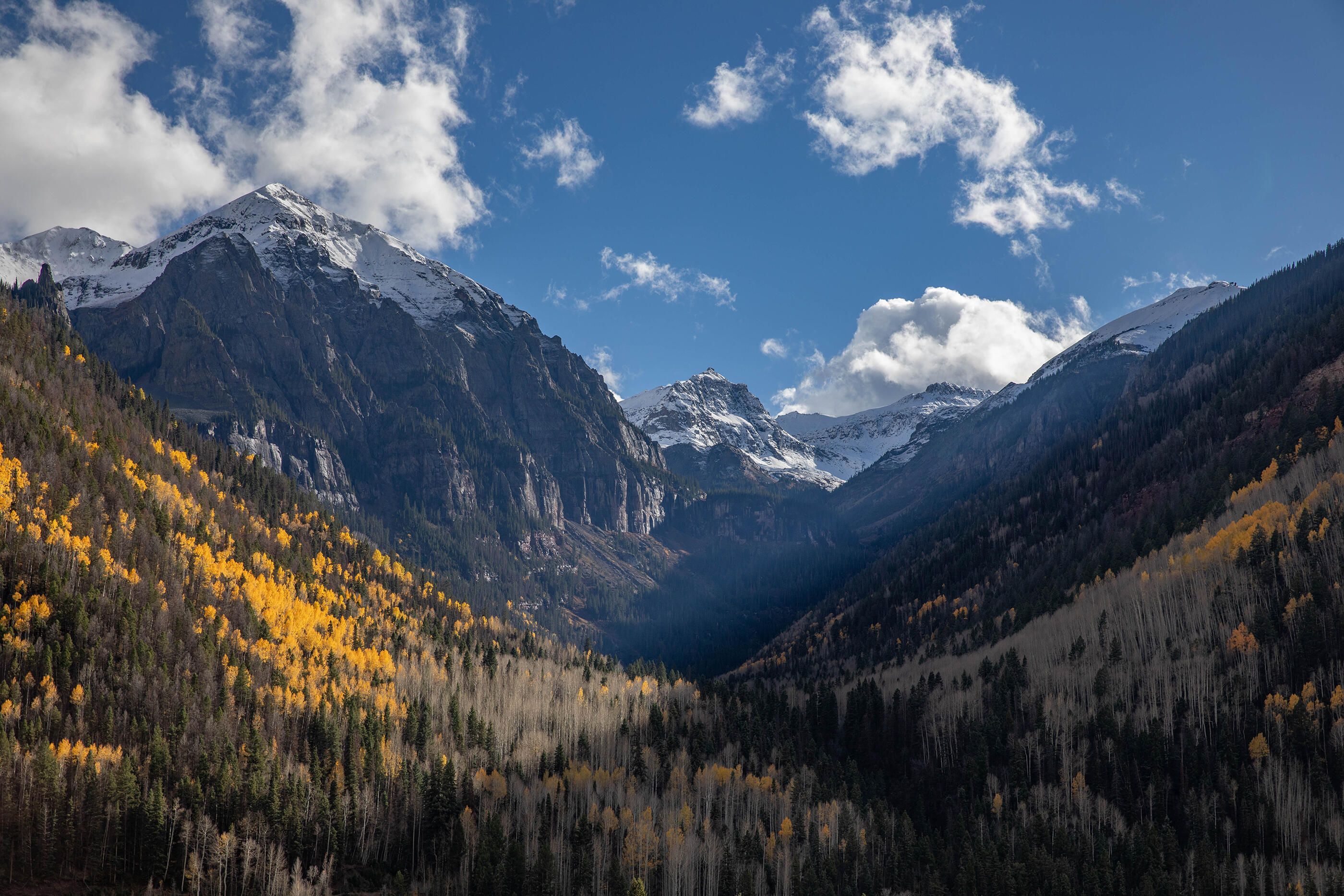 764 Primrose Lane Telluride, CO 81435 - Photo 13 of 23 a view of a city with flower plants