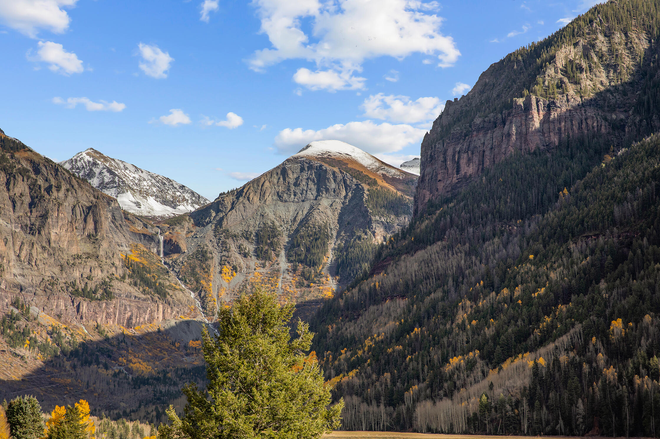 764 Primrose Lane Telluride, CO 81435 - Photo 17 of 23 a view of a tree in front of a house