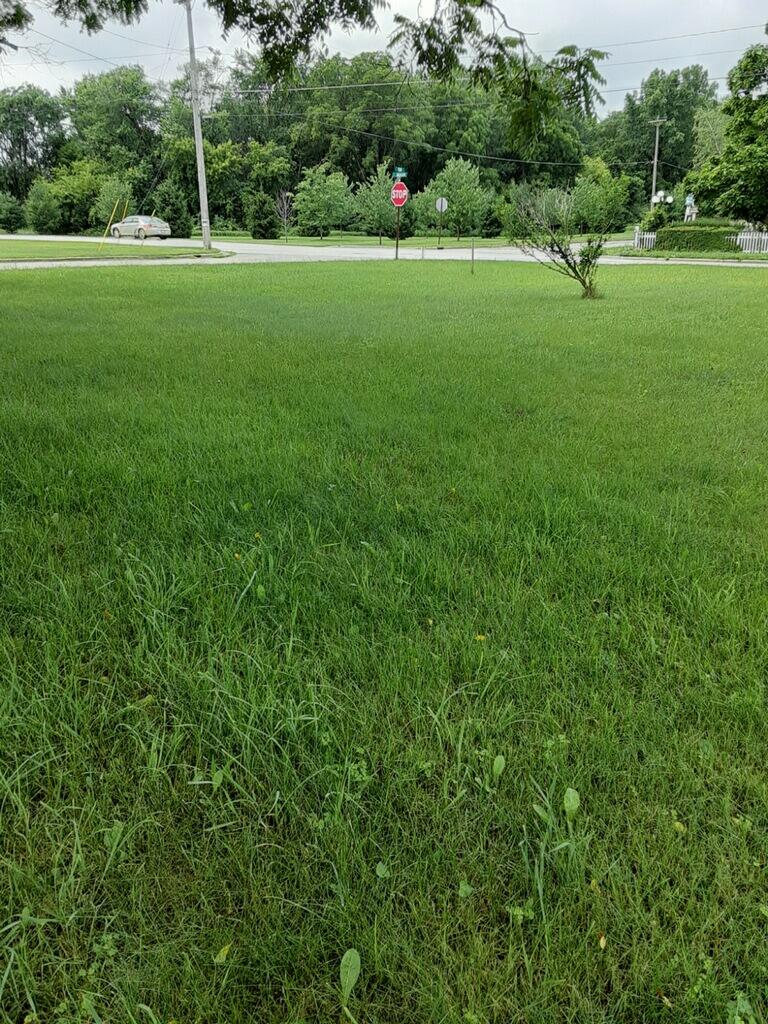 222 South Division Street Lowell, MI 49331 - Photo 1 of 5 IMG_9942