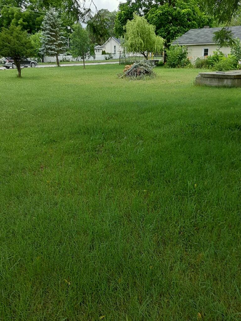 222 South Division Street Lowell, MI 49331 - Photo 4 of 5 IMG_9941