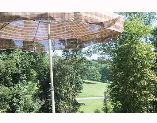 266 Roupe Road Eighty Four, PA 15330 - Photo 5 of 8 View. Lovely views!