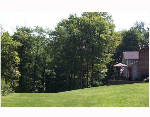 266 Roupe Road Eighty Four, PA 15330 - Photo 8 of 8 Yard/Garden. Just you and nature!