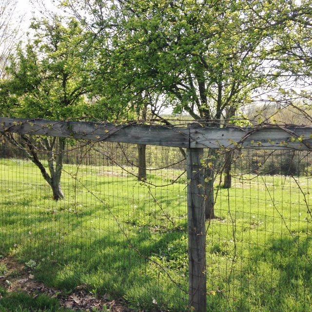 3115 Greenville Road Dry Ridge, KY 41035 - Photo 17 of 20