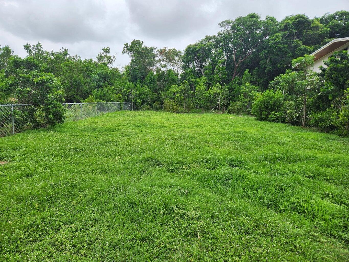 338 Sound Drive Key Largo, FL 33037 - Photo 13 of 13 a view of a grassy field with trees in the background
