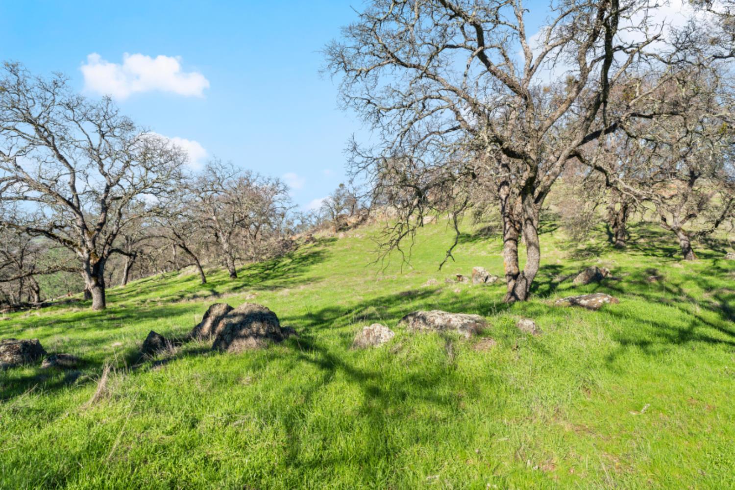 8251 Buffalo Ridge Road Ione, CA 95640 - Photo 41 of 56