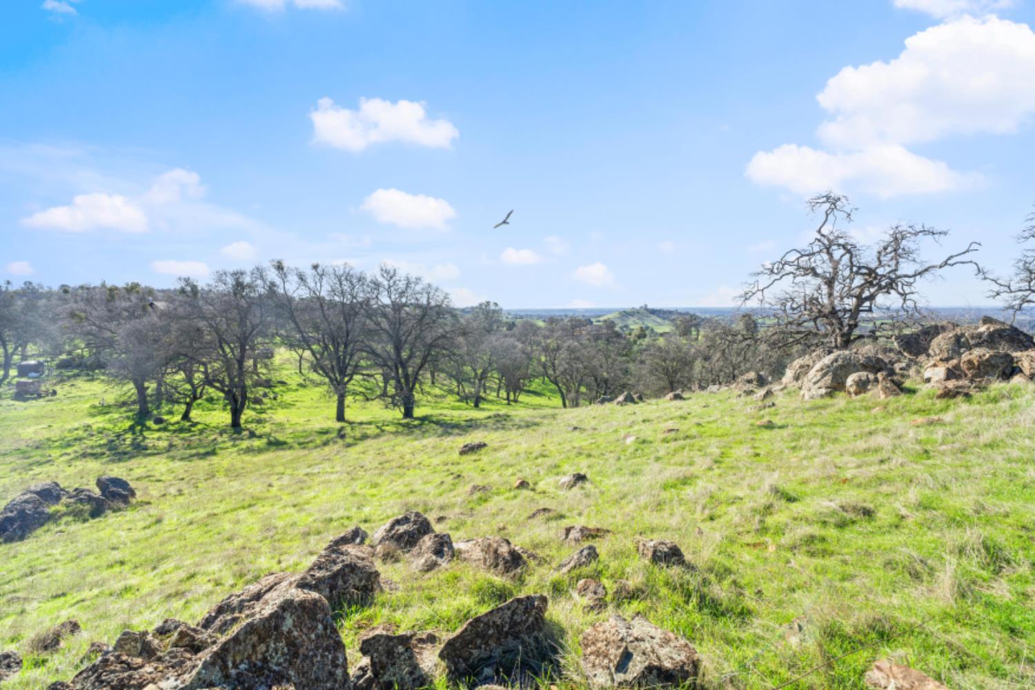 8251 Buffalo Ridge Road Ione, CA 95640 - Photo 45 of 56