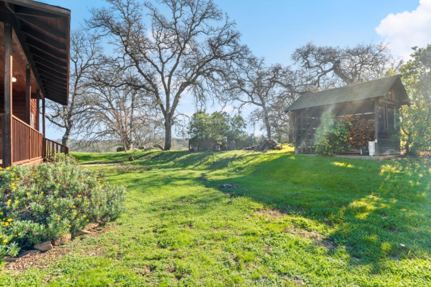 8251 Buffalo Ridge Road Ione, CA 95640 - Photo 46 of 56