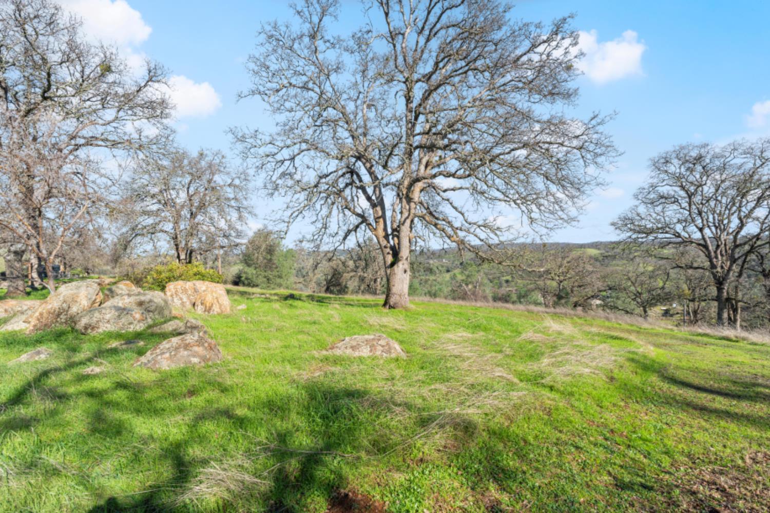 8251 Buffalo Ridge Road Ione, CA 95640 - Photo 50 of 56