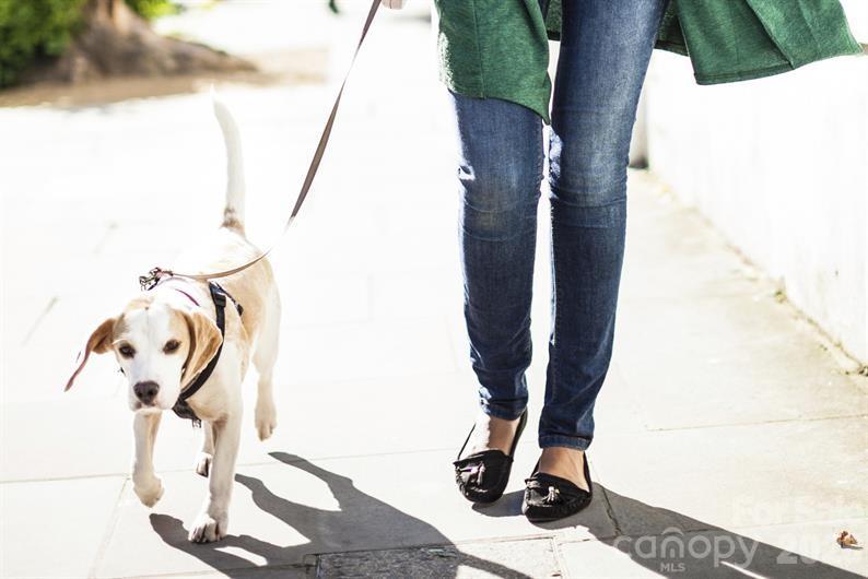 9546 Teamwork Street Northwest Concord, NC 28027 - Photo 19 of 23 a view of entryway