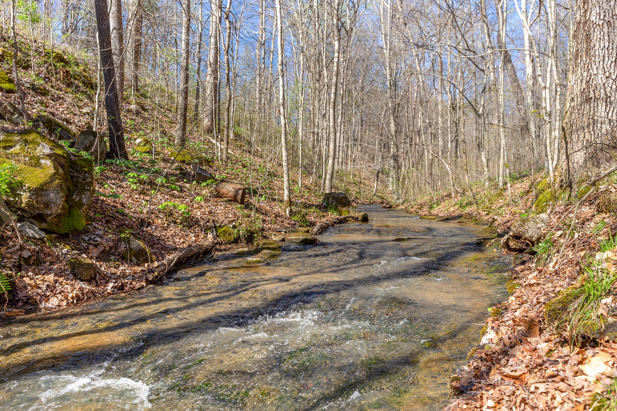 7570 Bidwell Road Joelton, TN 37080 - Photo 23 of 24