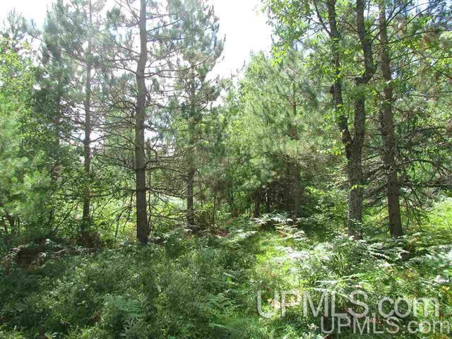 Tbd Tbd Paint River-6 Road, Unit 6 Crystal Falls, MI 49920 - Photo 1 of 4