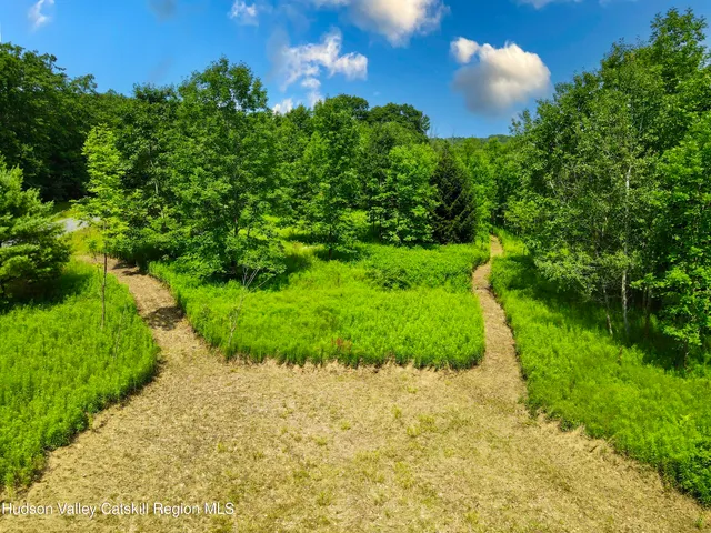 a view of a yard with a tree