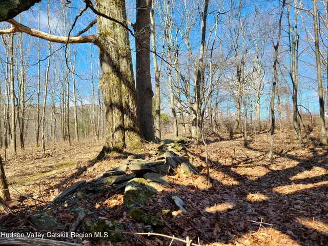a view of wooden door