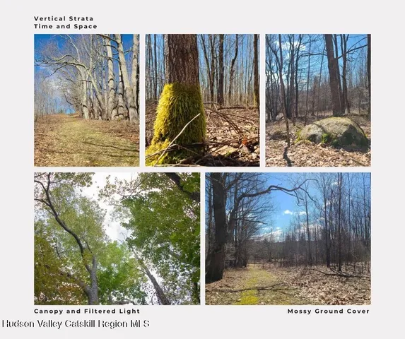 a view of a lake with mountains in the background