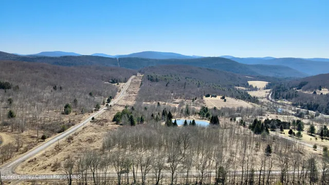 a view of a bunch of trees in background