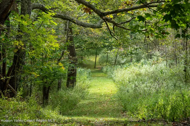 a backyard of a house with lots of green space