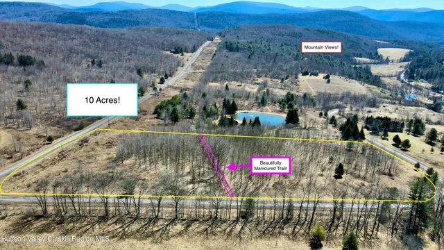 a view of swimming pool with a outdoor space