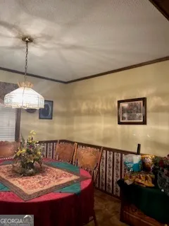 a living room with furniture a rug and a potted plant