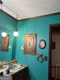 376 Paoli Road Carlton, GA 30627 - Photo 30 of 51 a bathroom with a sink and mirror