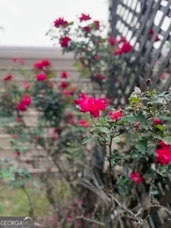 a view of a lake view