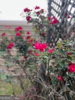 376 Paoli Road Carlton, GA 30627 - Photo 42 of 51 a view of a flower