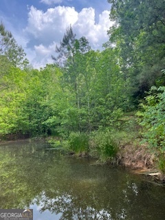 376 Paoli Road Carlton, GA 30627 - Photo 46 of 51 a view of a lake from a yard