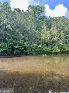 $1,783,000 | 376 Paoli Road, Carlton, GA 30627