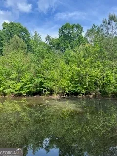 $1,783,000 | 376 Paoli Road, Carlton, GA 30627