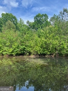 376 Paoli Road Carlton, GA 30627 - Photo 48 of 51 a view of a garden with a lake