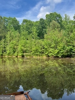 376 Paoli Road Carlton, GA 30627 - Photo 49 of 51 a view of a garden