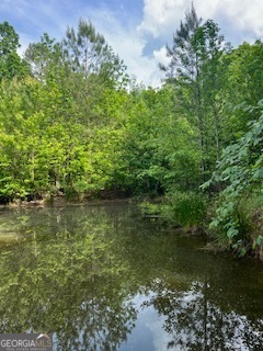 376 Paoli Road Carlton, GA 30627 - Photo 50 of 51 a view of lake with green space