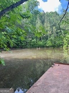 376 Paoli Road Carlton, GA 30627 - Photo 51 of 51 a view of a lake with a yard