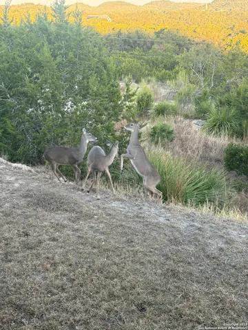 $937,900 | 42 Tower Road, Boerne, TX 78006