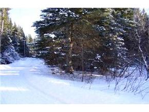 0 Shatney Road Pittsburg, NH 03592 - Photo 2 of 4