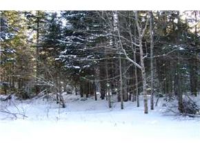 0 Shatney Road Pittsburg, NH 03592 - Photo 3 of 4