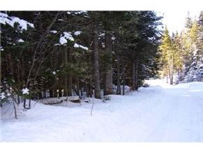 0 Shatney Road Pittsburg, NH 03592 - Photo 4 of 4
