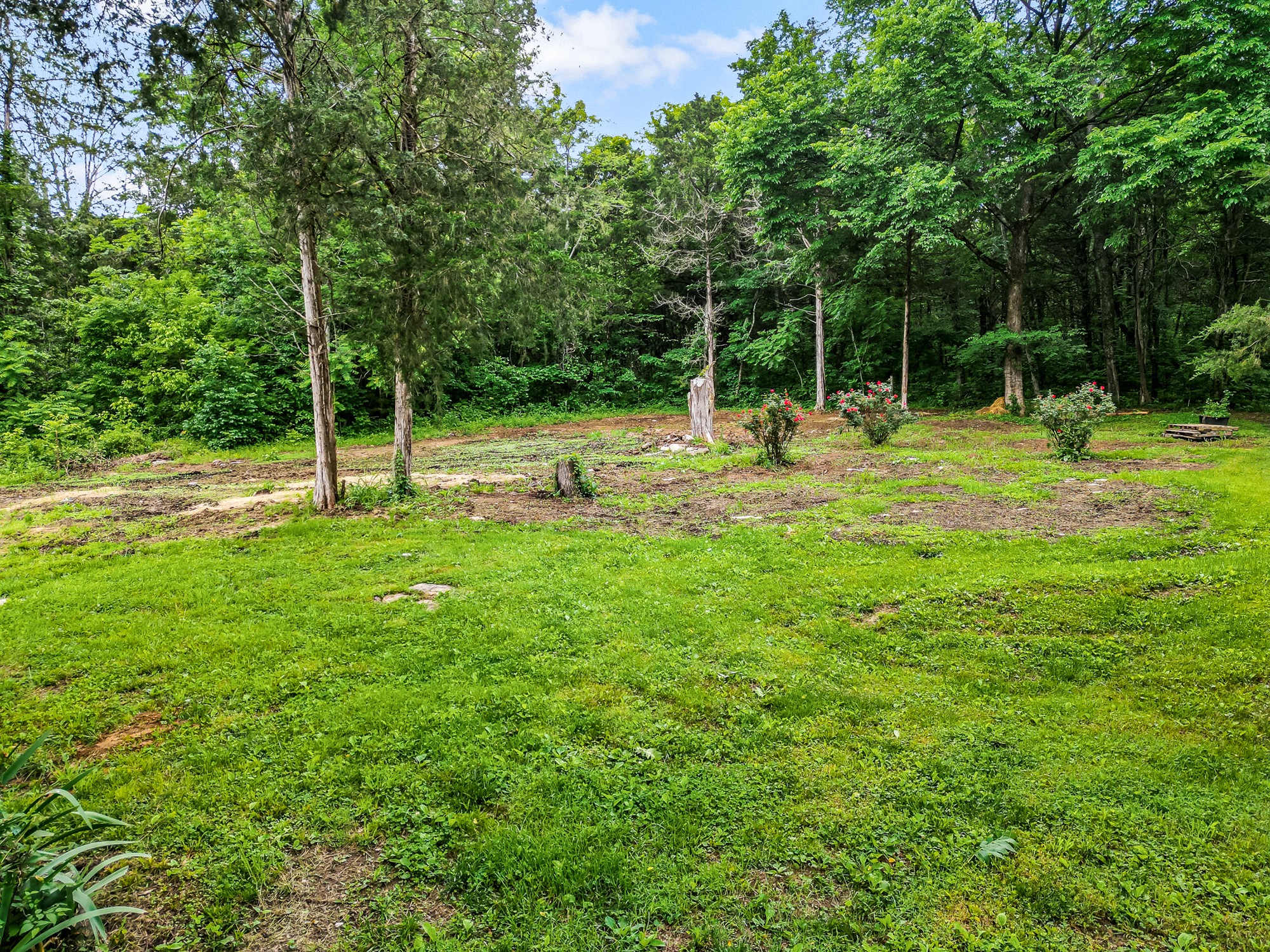 3895 Greenvale Road Watertown, TN 37184 - Photo 45 of 45 Gallery Image 45