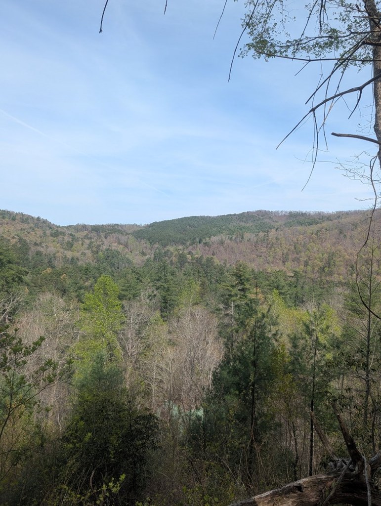 7 A Lake Murphy, NC 28906 - Photo 4 of 4 a view of a city with lush green forest