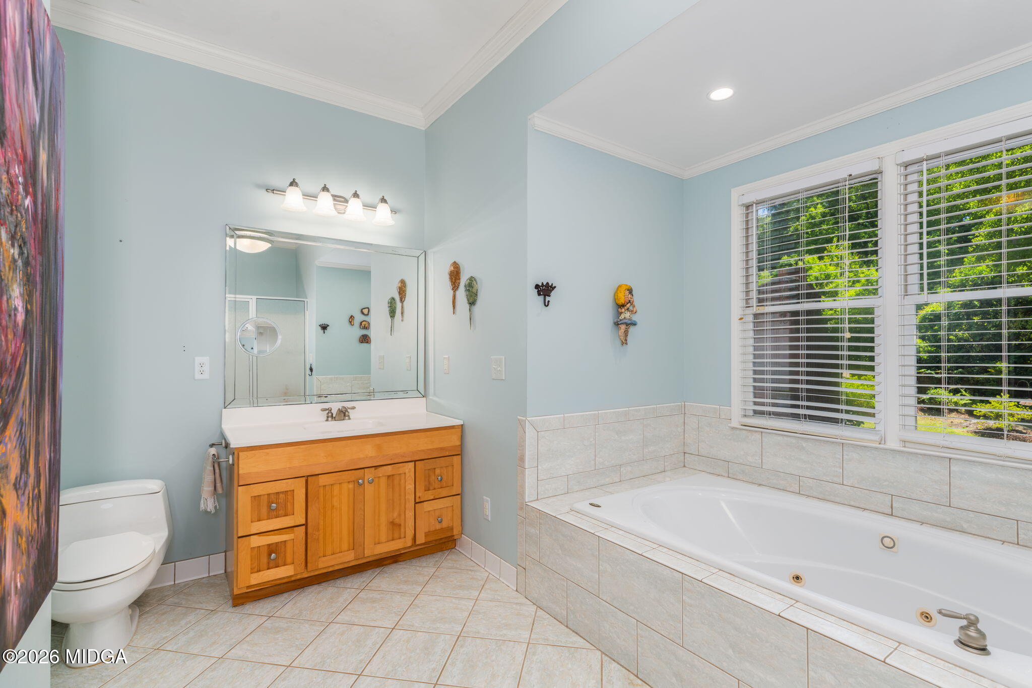 2520 Rockbridge Road Macon, GA 31204 - Photo 44 of 63 Soaking Tub