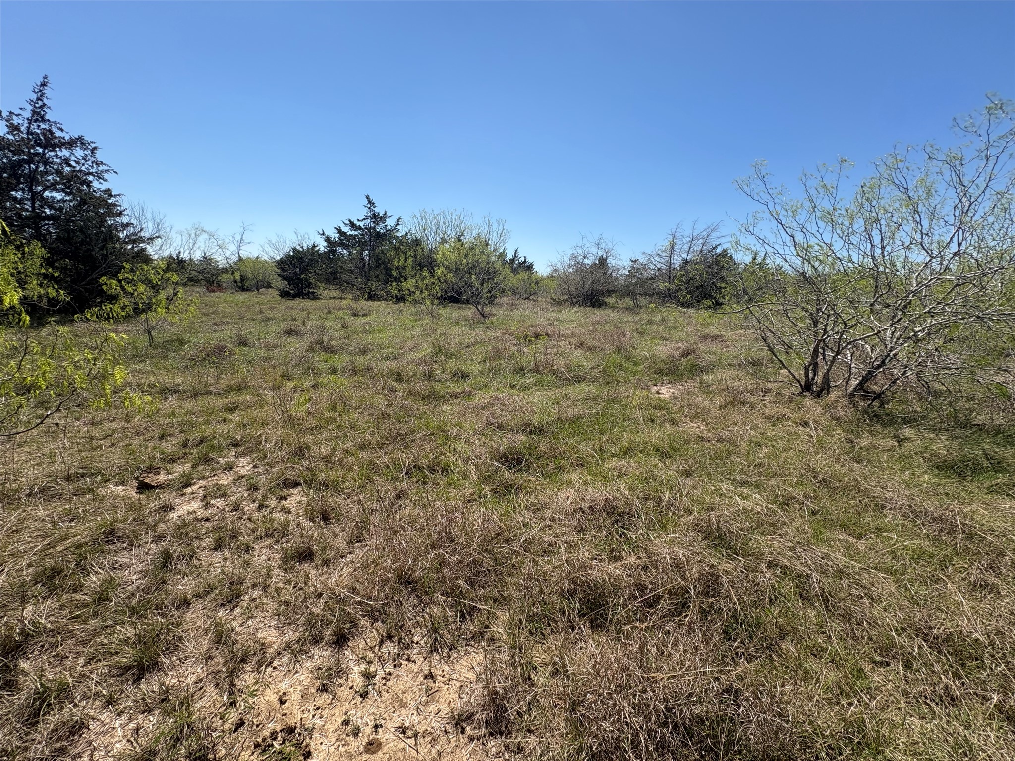 Tbd Patterson Road Flatonia, TX 78941 - Photo 20 of 35 View of nature with rural landscape