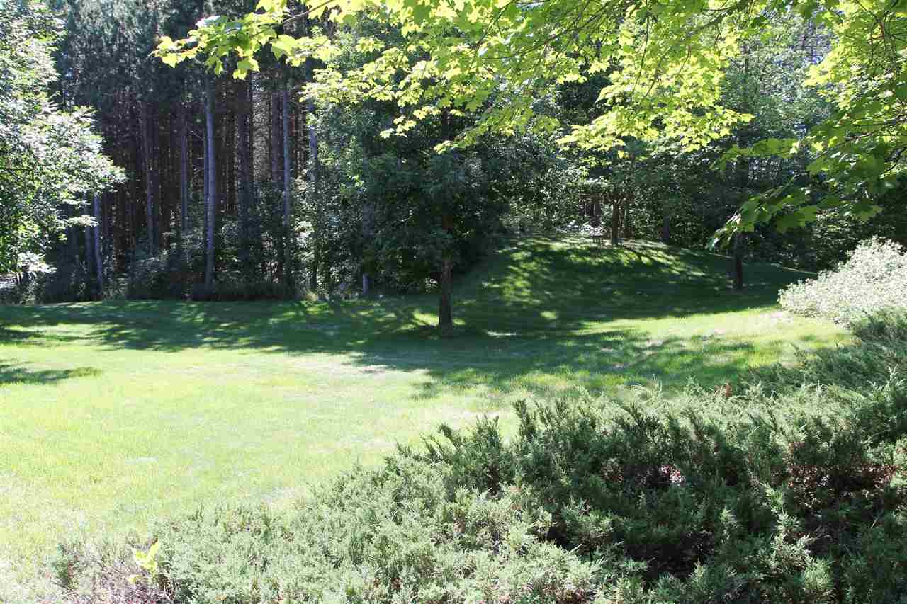 5675 East Hoxie Road Cedar, MI 49621 - Photo 50 of 54 1822864-49.JPG