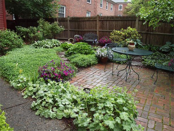 352 Harvard Street, Unit 1C Cambridge, MA 02138 - Photo 12 of 15